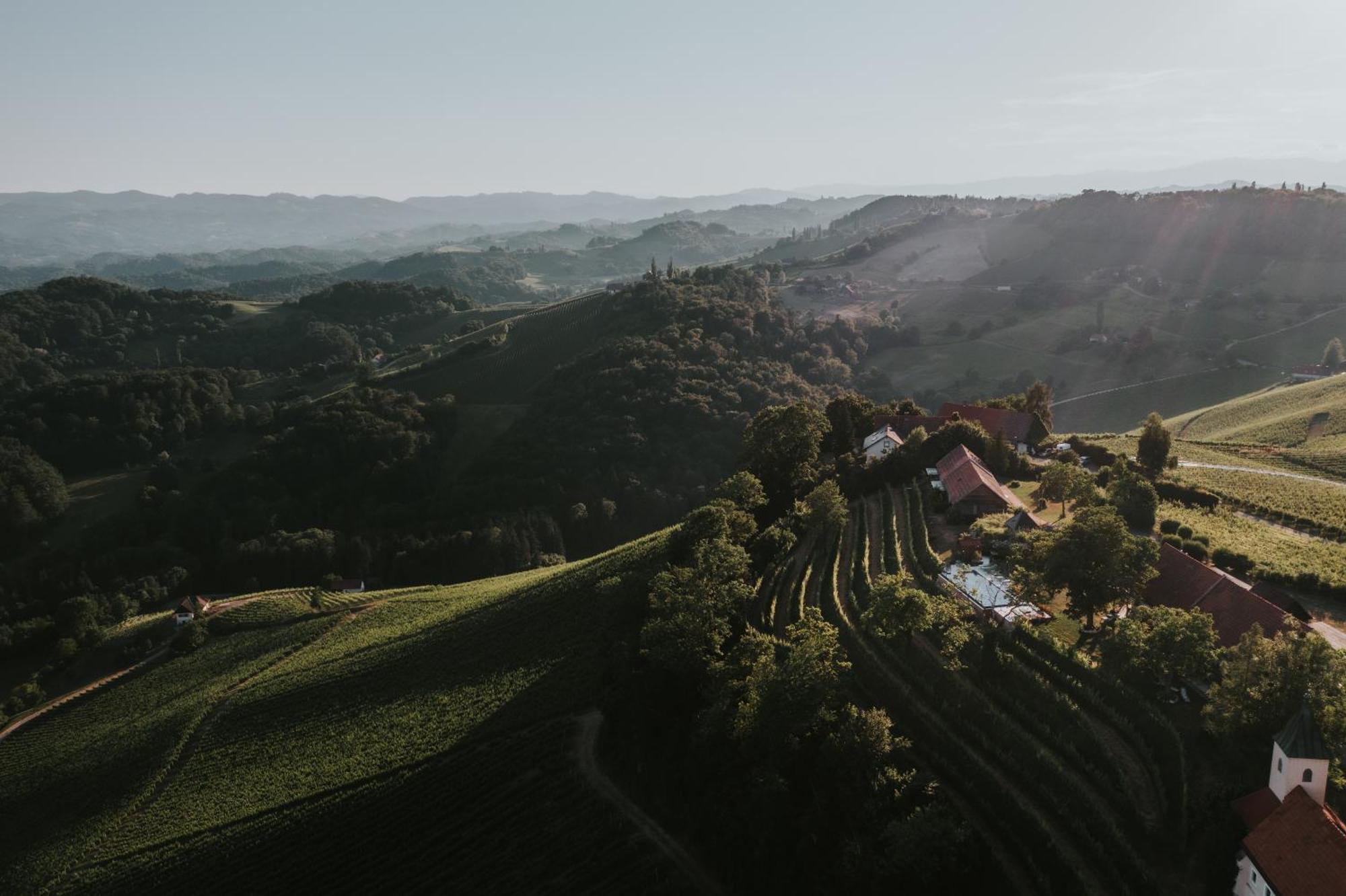 Winzarei, Weingut Tement Villa Berghausen Exterior photo